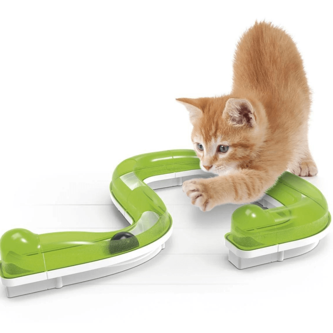 Zoofari cat tunnel best sale