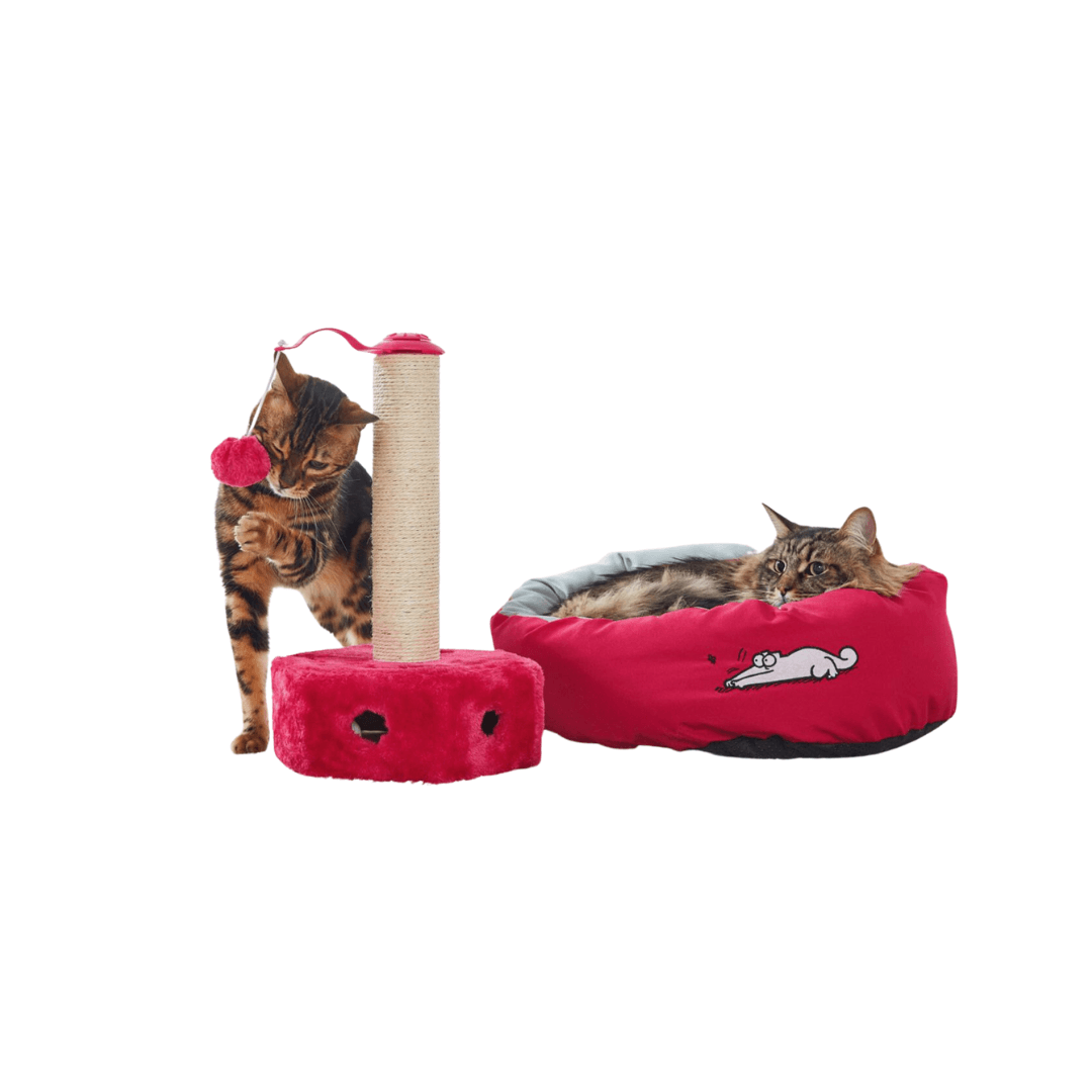 ZOOFARI SCRATCHING POST - EUROPEAN HOUSE HOLD