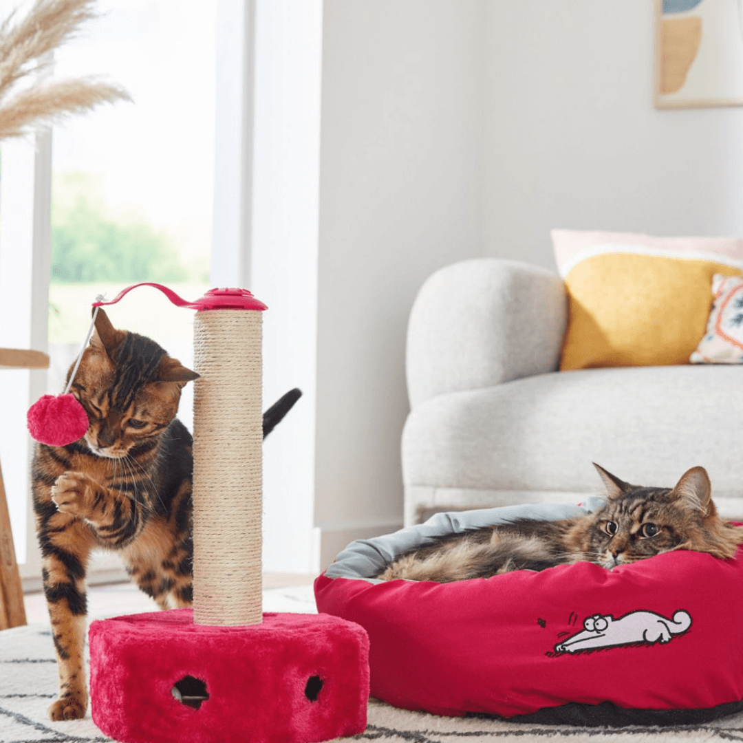 Zoofari Cat Tree Lidl Top Lidl Scratching Post Top Sellers