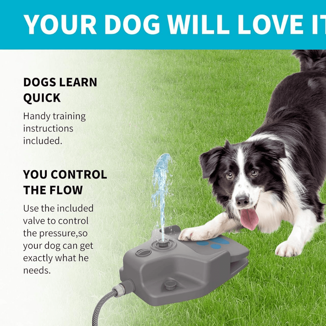 ZOOFARI STEP-ON DOG WATER FOUNTAIN - EUROPEAN HOUSE HOLD