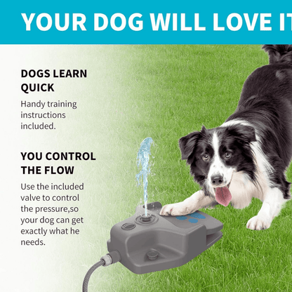 ZOOFARI STEP-ON DOG WATER FOUNTAIN - EUROPEAN HOUSE HOLD