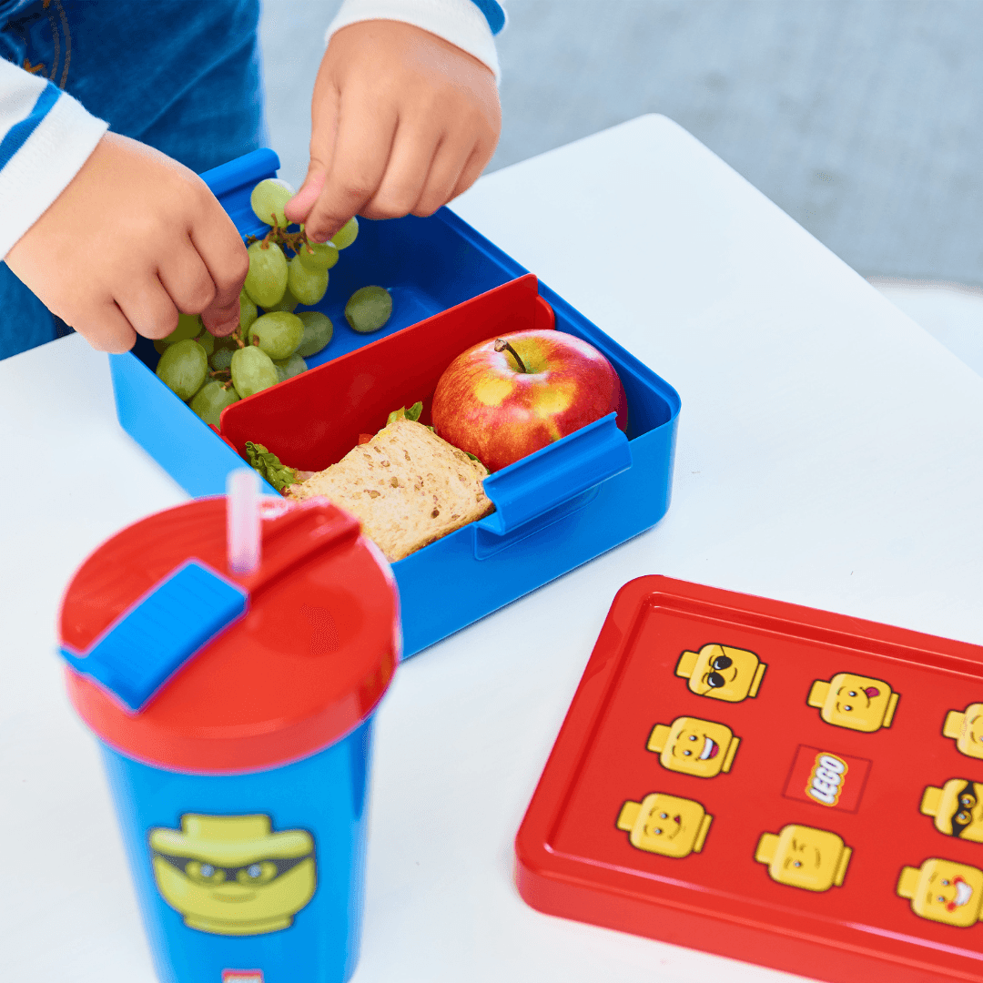 LEGO LUNCH BOX WITH ONE DRINKING BOTTLE - EUROPEAN HOUSE HOLD